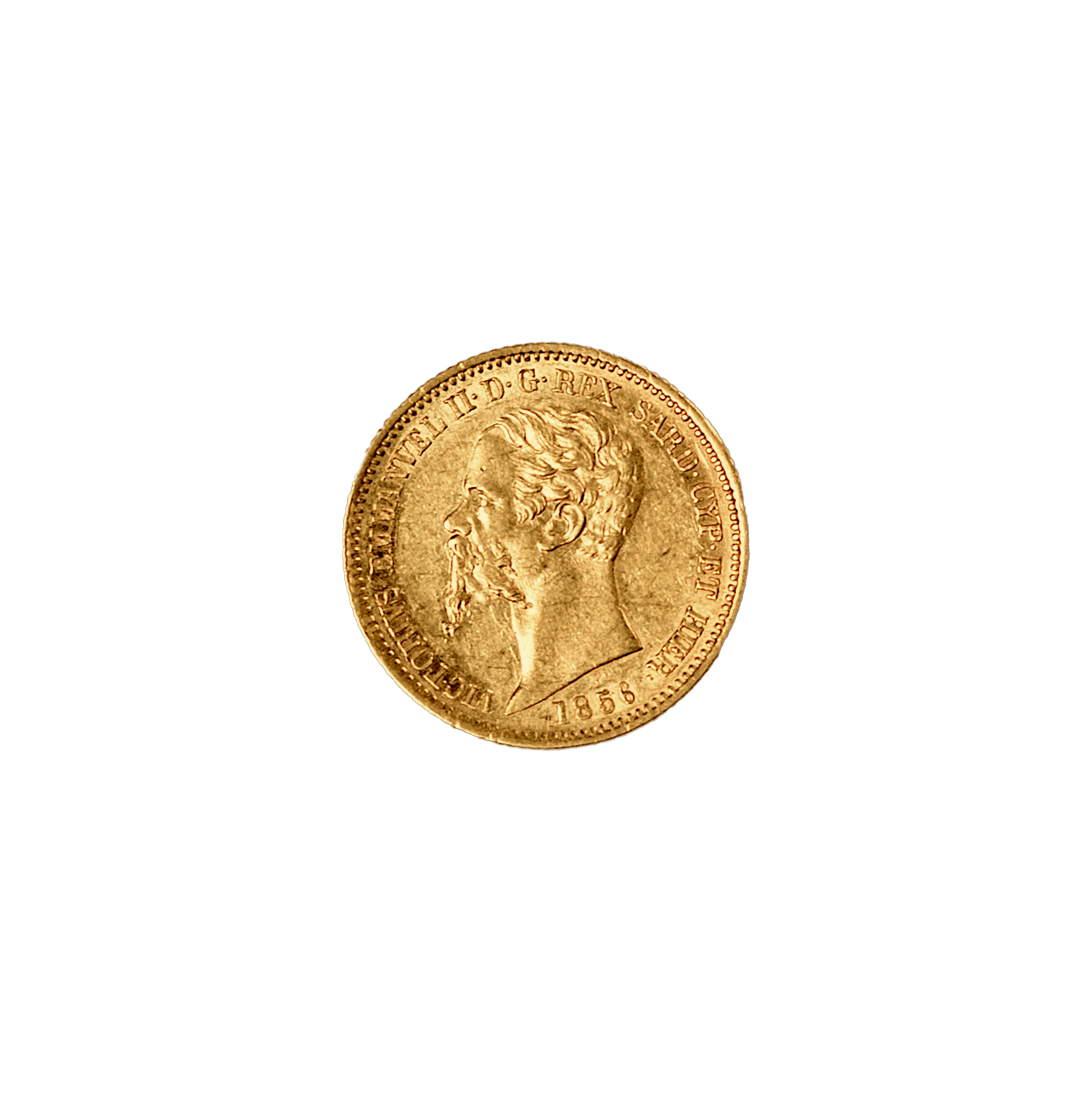 What is shown on the reverse of the coin?