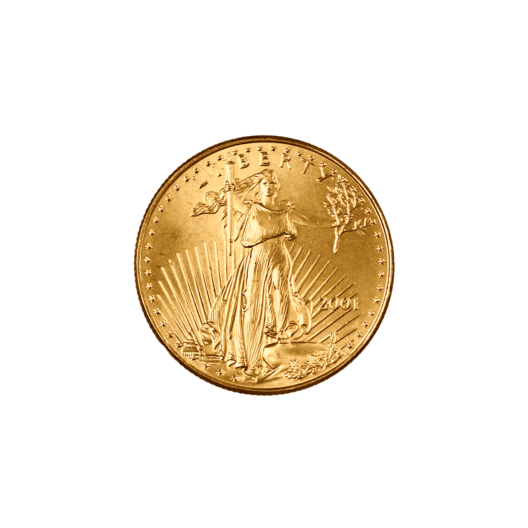 What is depicted on the reverse side of the coin?