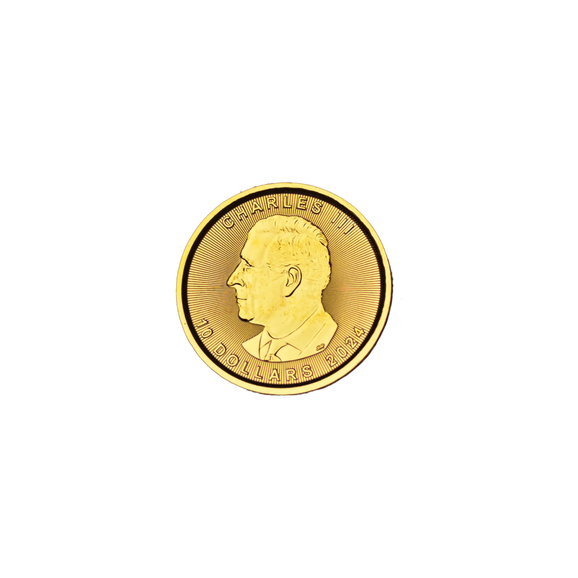 Why is this coin ideal for new and experienced investors?